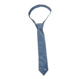 TI155 Group Order Silk Tie Online Order Tie Style Printed Stripe Tie Manufacturer TI155 Group Order Silk Tie Online Order Tie Style Printed Stripe Tie Manufacturer
